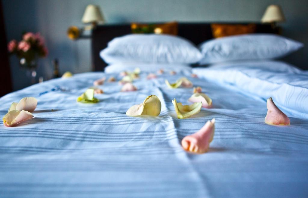 Shuma Hotel Dabrowa Gornicza Bilik gambar